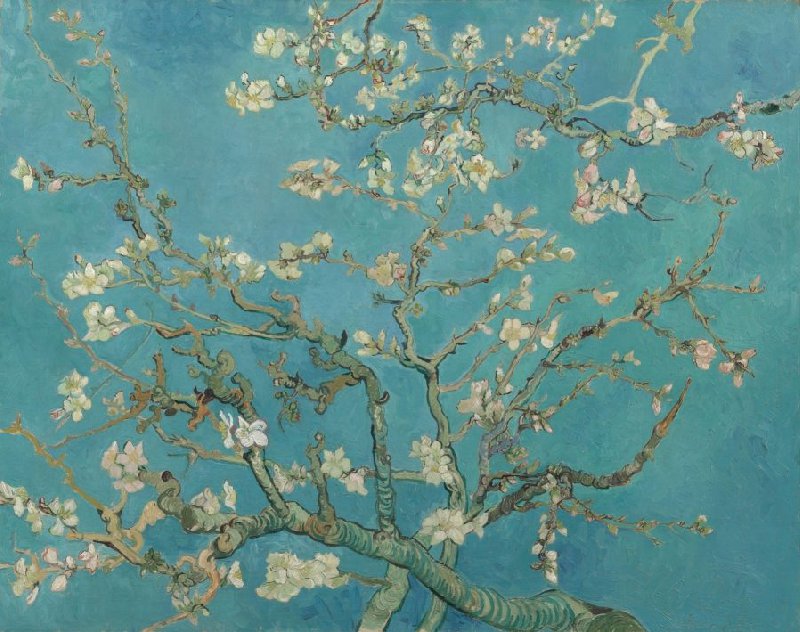 Vincent van Gogh (1853 - 1890), Saint-Rémy-de-Provence, februari 1890

olieverf op doek, 73.3 cm x 92.4 cm